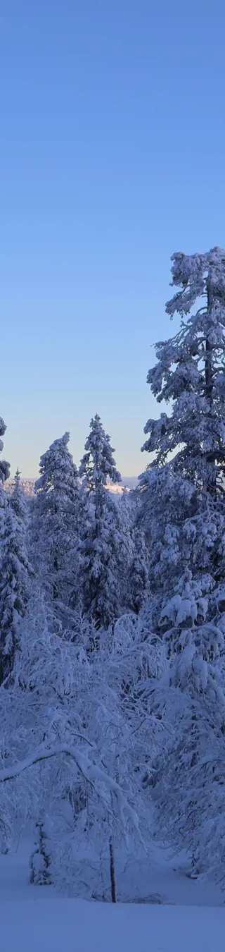 Winterwunderland.